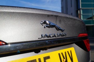 Jaguar 30d Portfolio Mj. 2016           